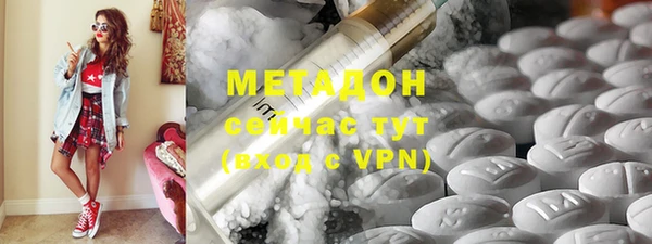 ПСИЛОЦИБИНОВЫЕ ГРИБЫ Горно-Алтайск