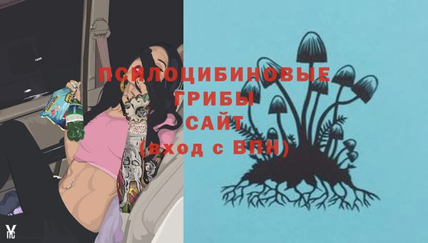 бошки Горнозаводск