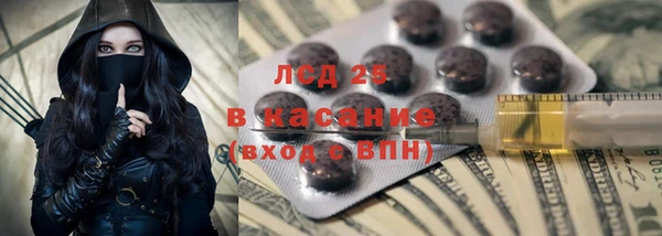 ПСИЛОЦИБИНОВЫЕ ГРИБЫ Горно-Алтайск