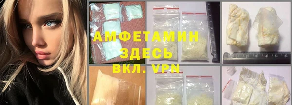 ПСИЛОЦИБИНОВЫЕ ГРИБЫ Горно-Алтайск