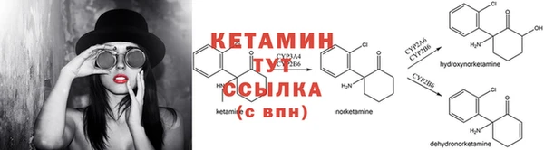 ПСИЛОЦИБИНОВЫЕ ГРИБЫ Горно-Алтайск
