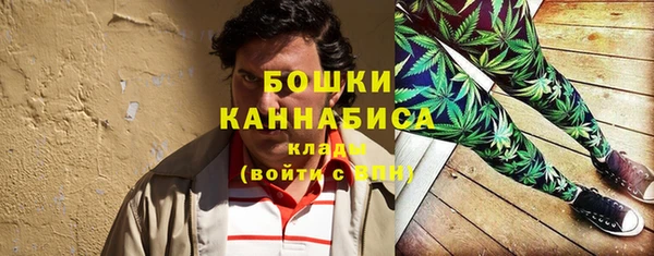 ПСИЛОЦИБИНОВЫЕ ГРИБЫ Горно-Алтайск