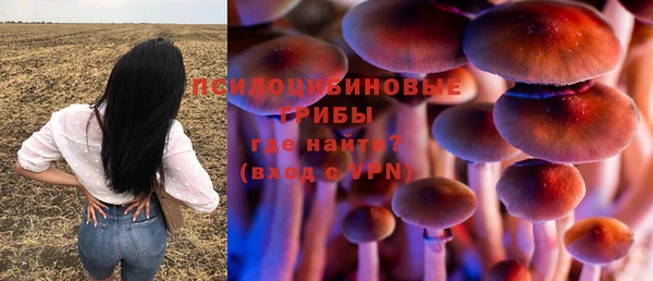 бошки Горнозаводск