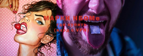 ПСИЛОЦИБИНОВЫЕ ГРИБЫ Горно-Алтайск